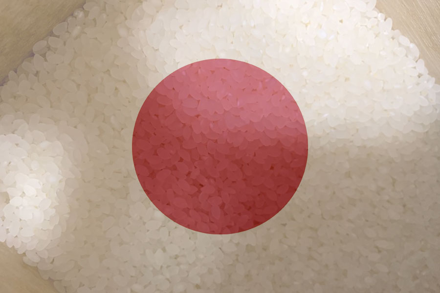 New Global Voyage
