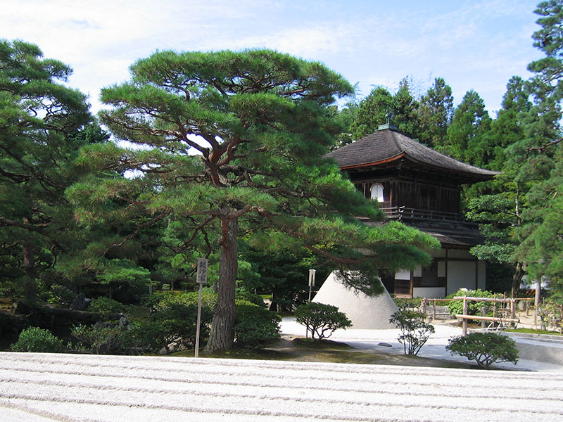新地球紀行